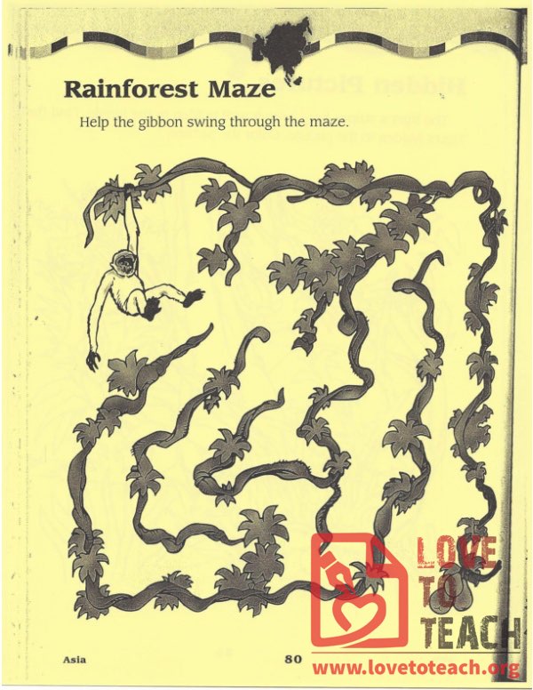 Rainforest Maze | LoveToTeach.org