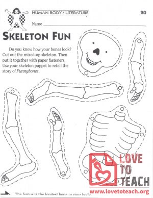 Skeleton Fun